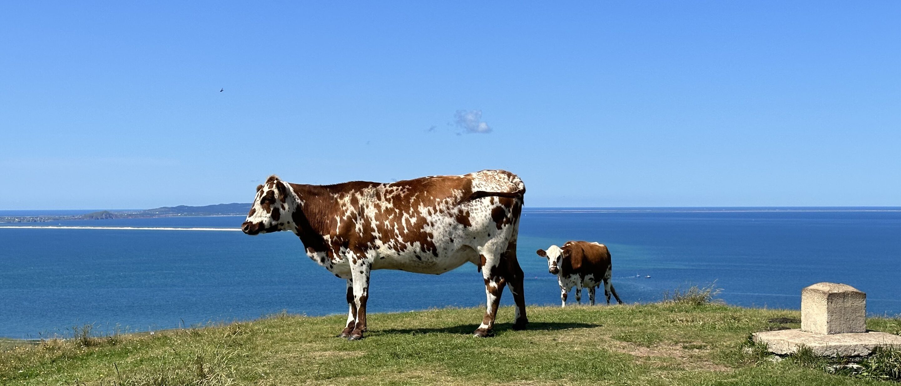 Maison Mer – Hébergement Îles de la Madeleine – 13/05/2025