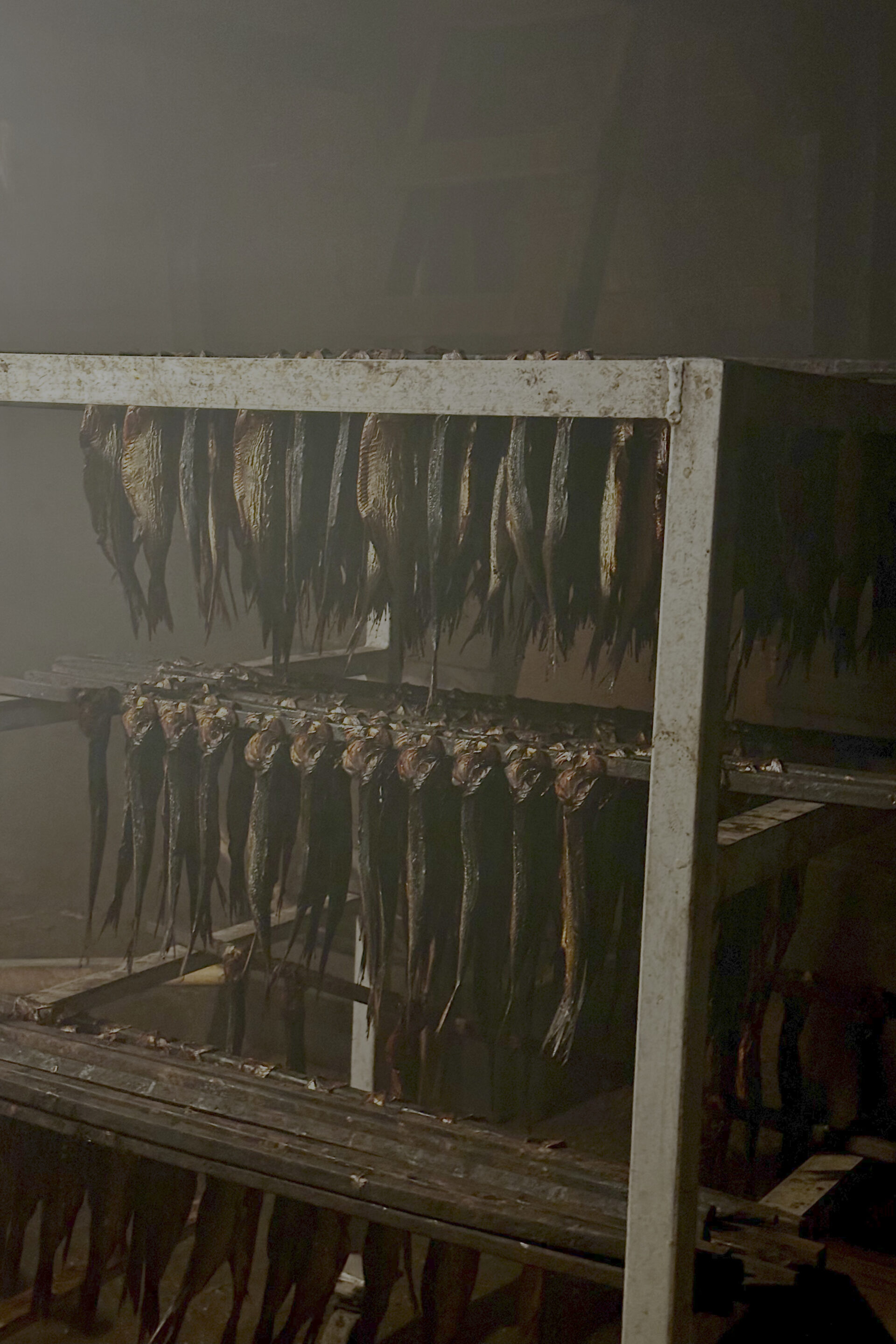 Maison Mer – Hébergement Îles de la Madeleine – 10/07/2025