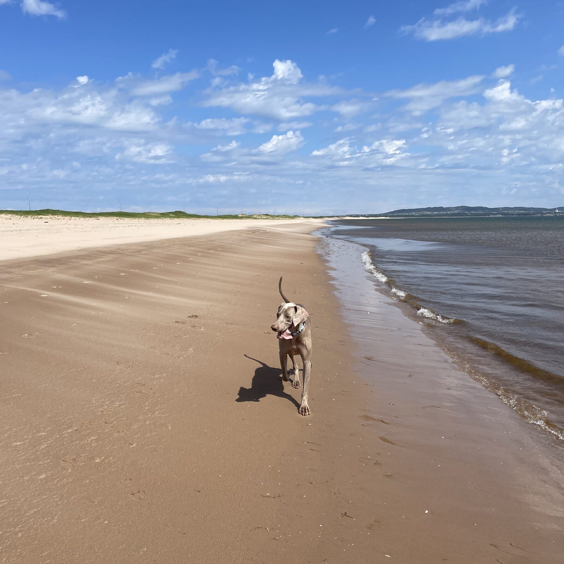 Maison Mer – Hébergement Îles de la Madeleine – 01/09/2025 Maison Mer – Hébergement Îles de la Madeleine – 01/09/2025