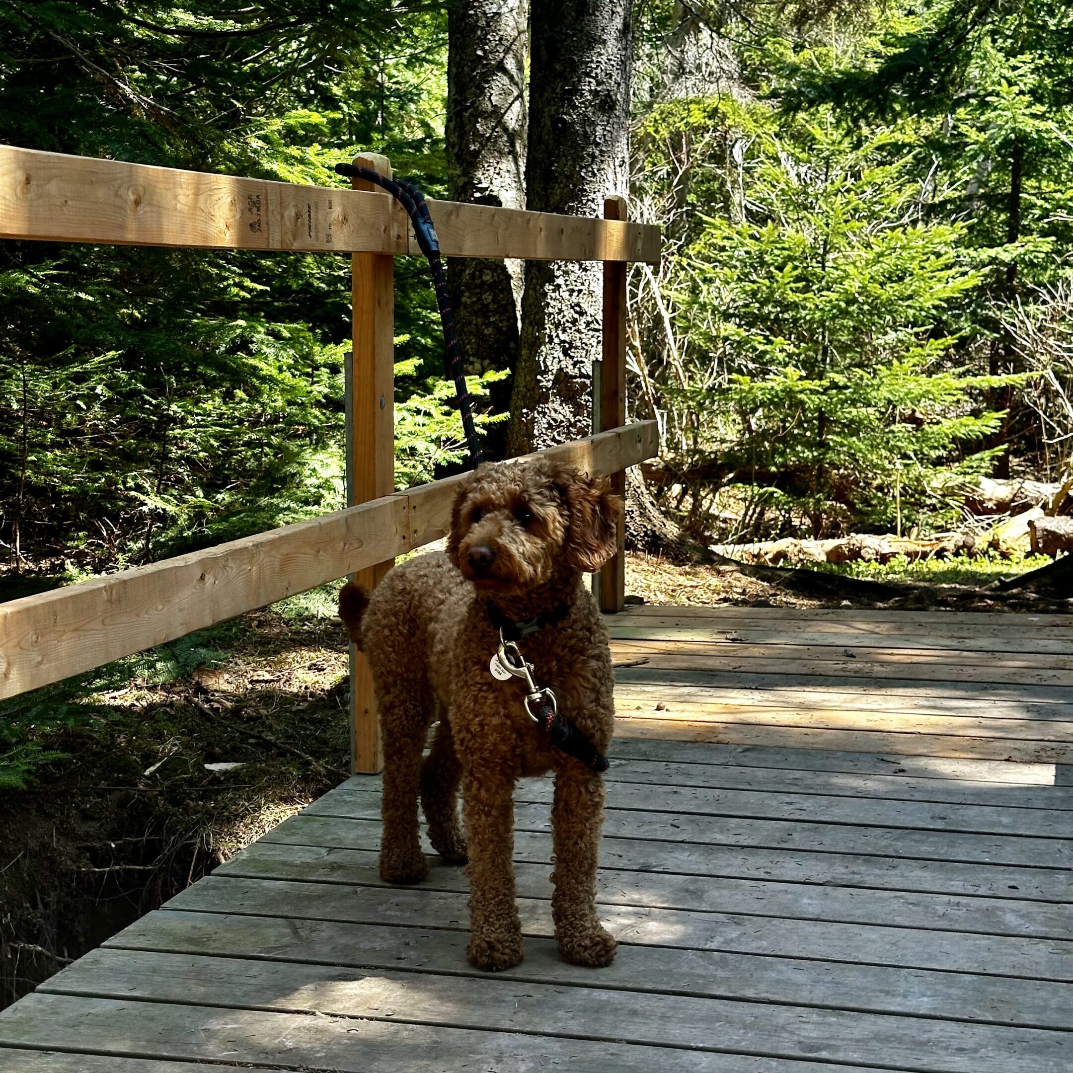 Maison Mer – Îles de la Madeleine accommodation – 03/16/2026 Maison Mer – Îles de la Madeleine accommodation – 03/16/2026