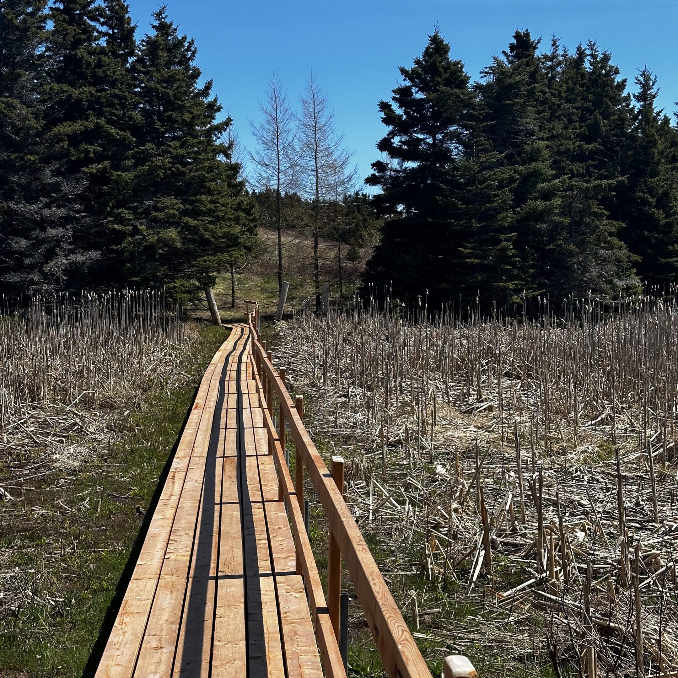 Maison Mer – Îles de la Madeleine accommodation – 03/16/2026 Maison Mer – Îles de la Madeleine accommodation – 03/16/2026