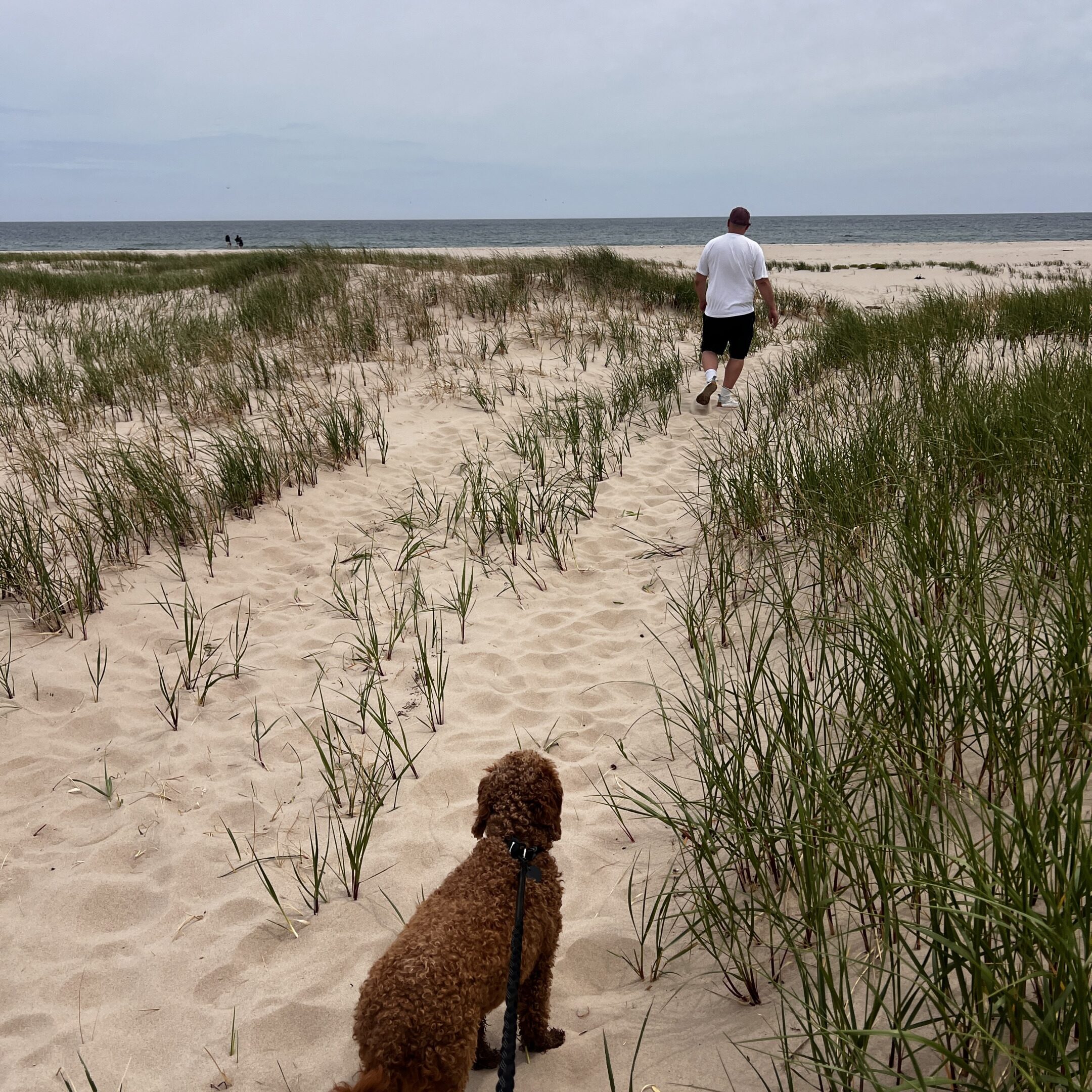 Maison Mer &ndash; Hébergement Îles de la Madeleine &ndash; 16/03/2026