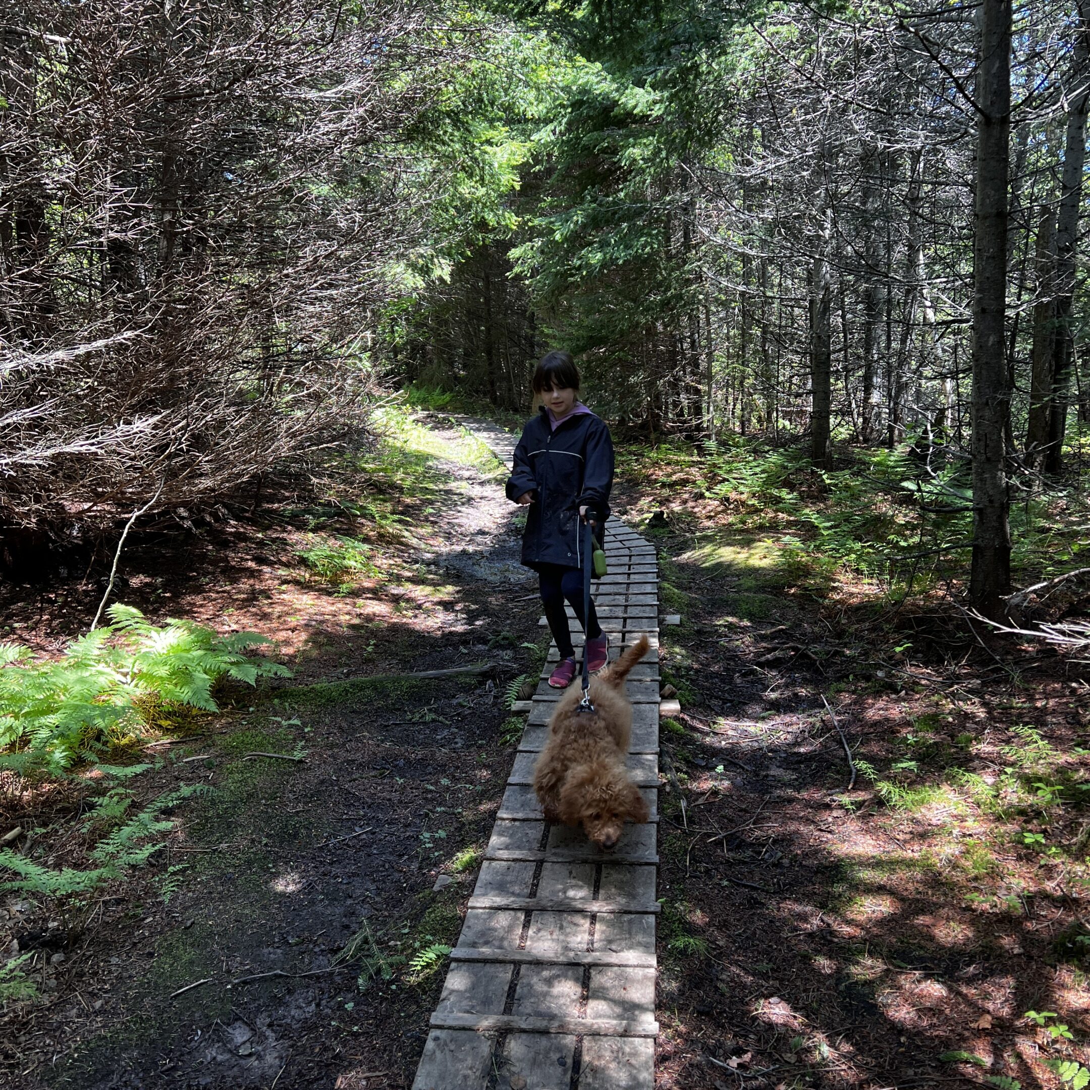 Maison Mer – Îles de la Madeleine accommodation – 03/16/2026 Maison Mer – Îles de la Madeleine accommodation – 03/16/2026