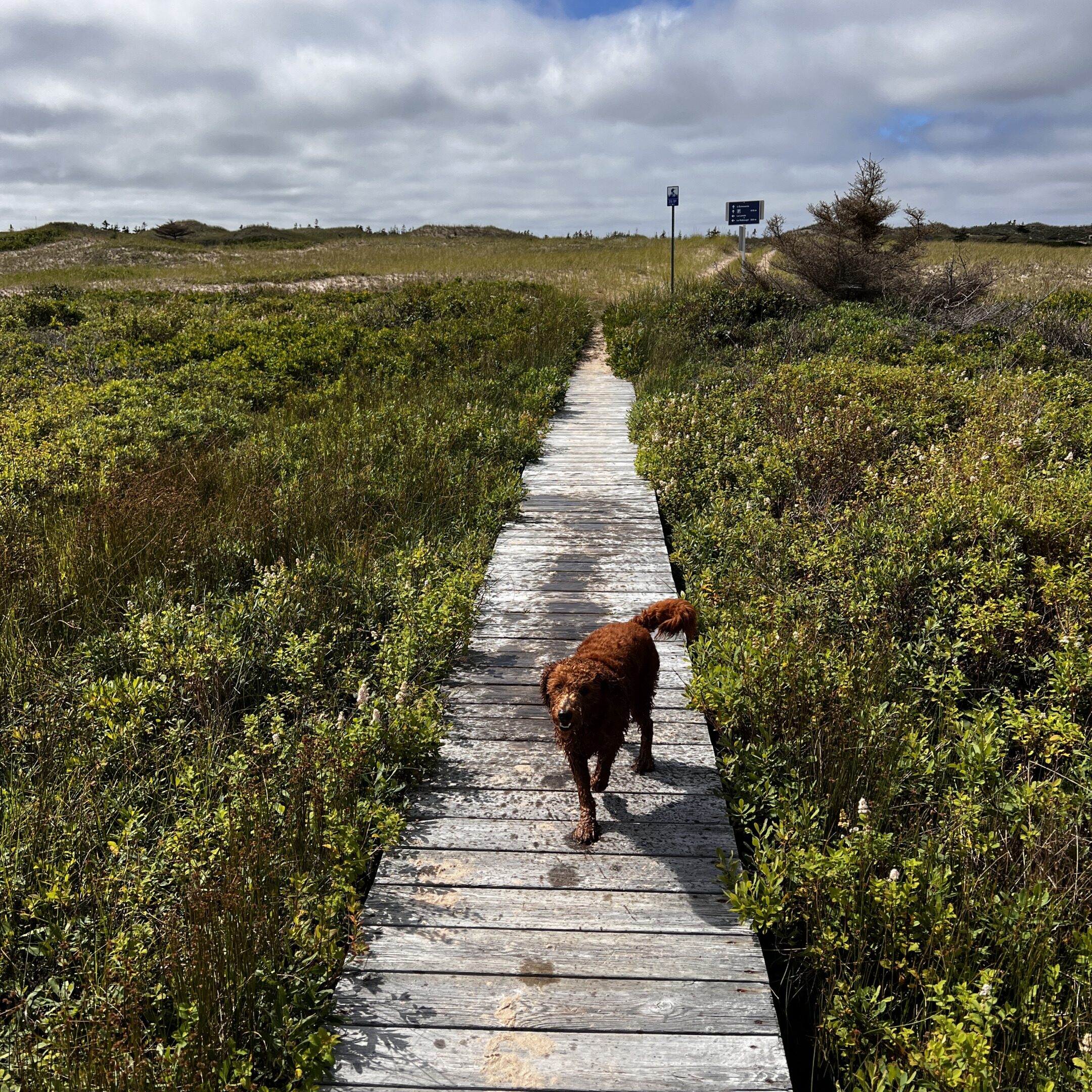 Maison Mer &ndash; Hébergement Îles de la Madeleine &ndash; 16/03/2026