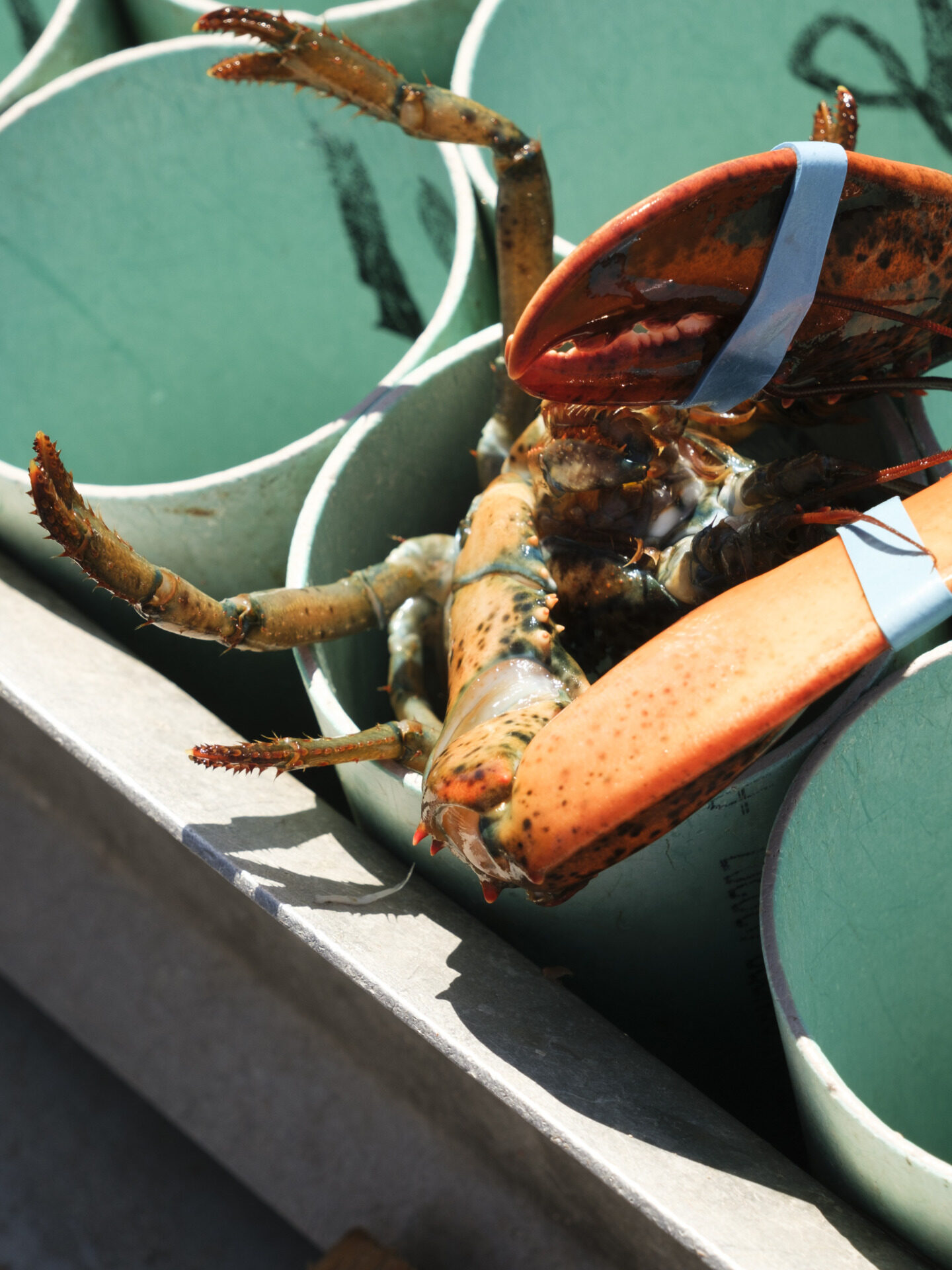 Maison Mer &ndash; Hébergement Îles de la Madeleine &ndash; 10/04/2026