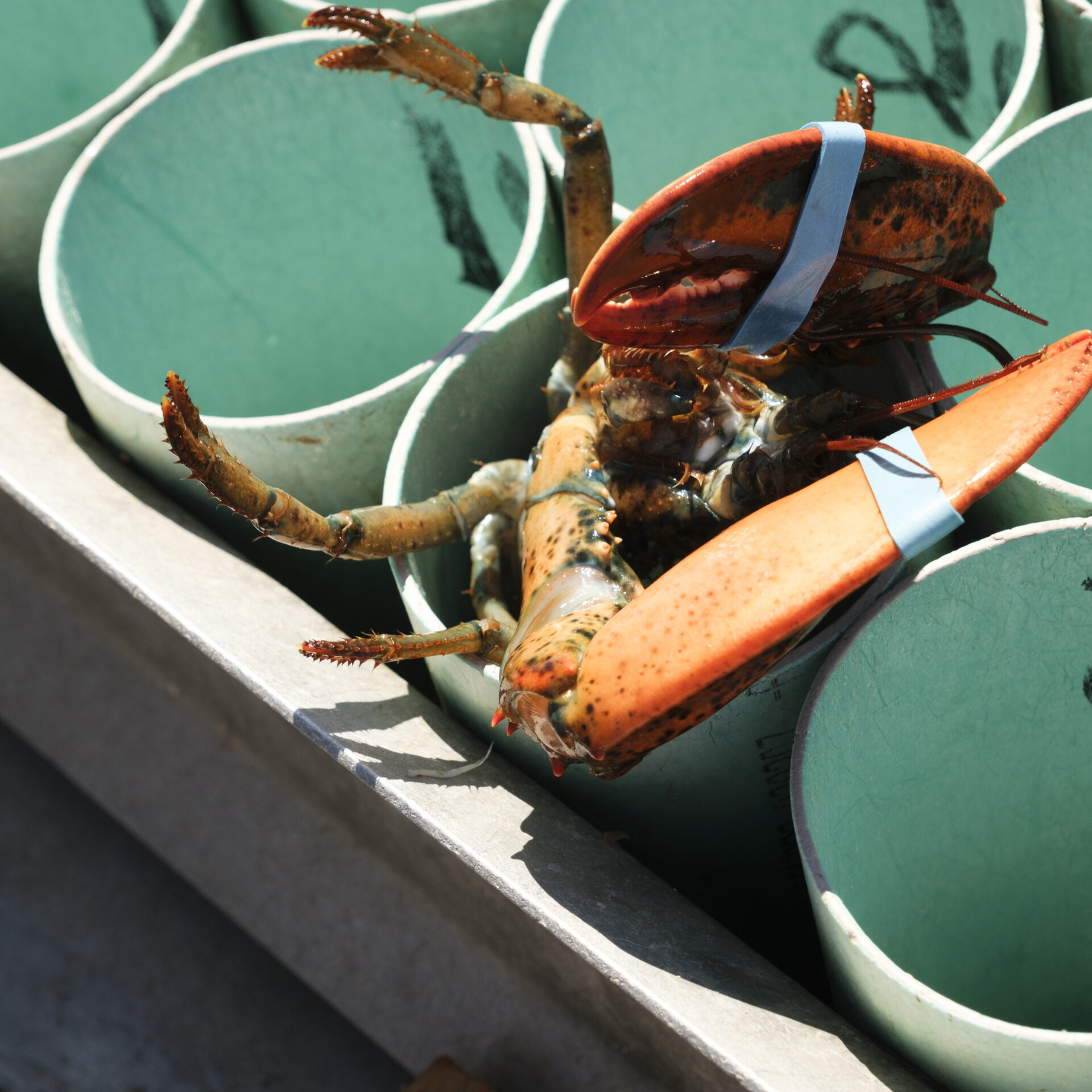 Maison Mer – Hébergement Îles de la Madeleine – 10/04/2026 Maison Mer – Hébergement Îles de la Madeleine – 10/04/2026